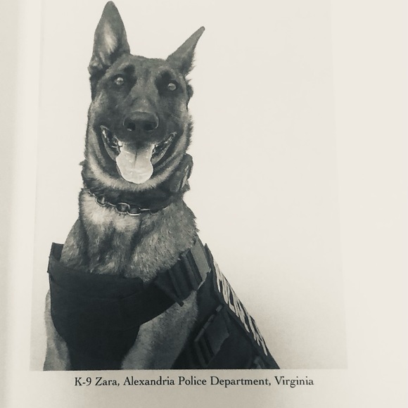 Service Dogs - Brand New SOLEMN VOW BOOK- honors them.. - Picture 6 of 6